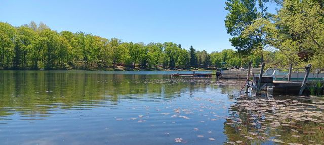 791 Blue Gill Lake Road, Harrison, MI 48625