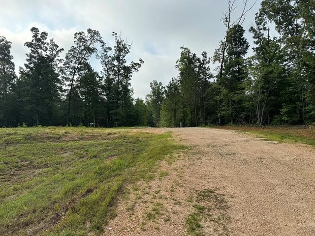 1295 Old Natchez Trace Trl, Camden, TN 38320