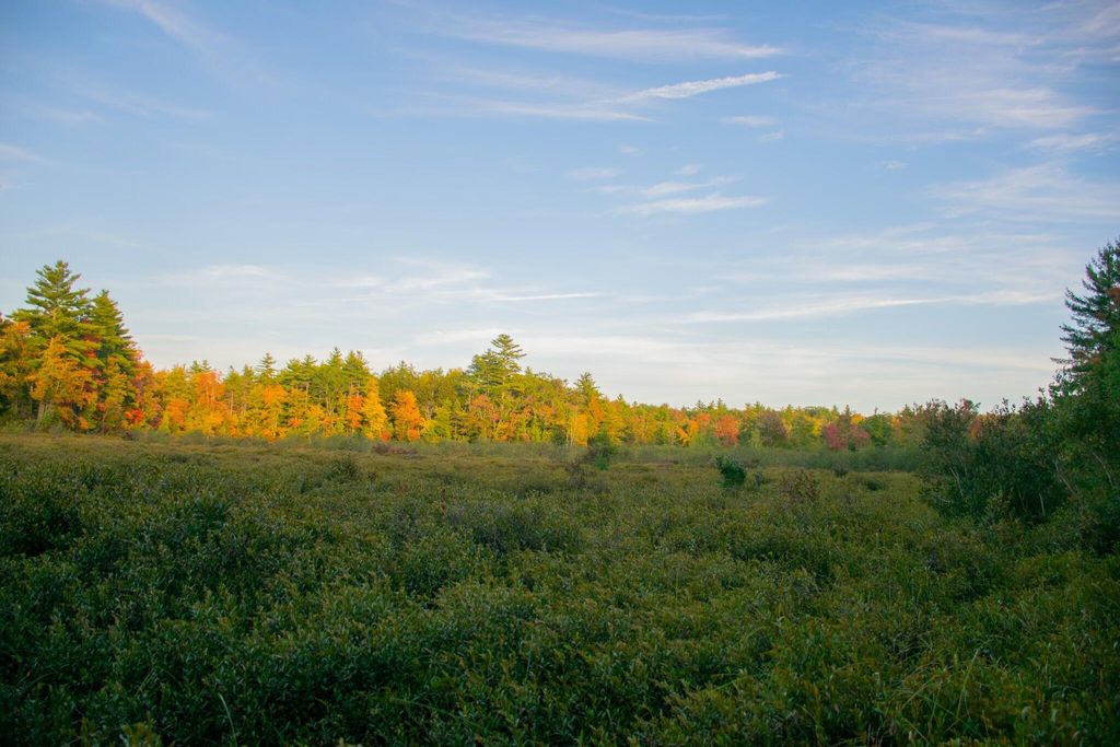 TBD New Dam Road, Waterboro, ME 04061 — exterior