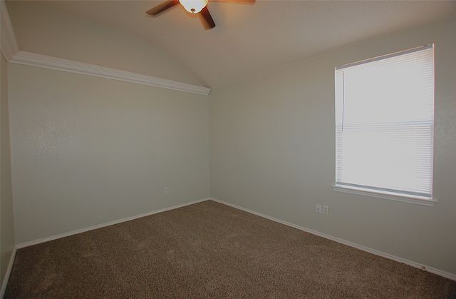 338 Bayberry Trail, Forney, TX 75126