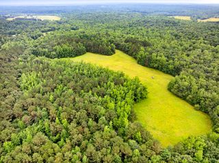 1303 Pugh Rd, Holladay, TN 38341