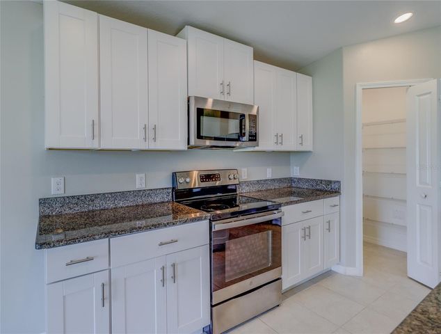 8694 PARSONS HILL BOULEVARD, Wesley Chapel, FL 33545
