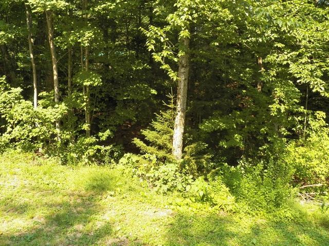 116 Beaver Lake Drive, Stoddard, NH 03464