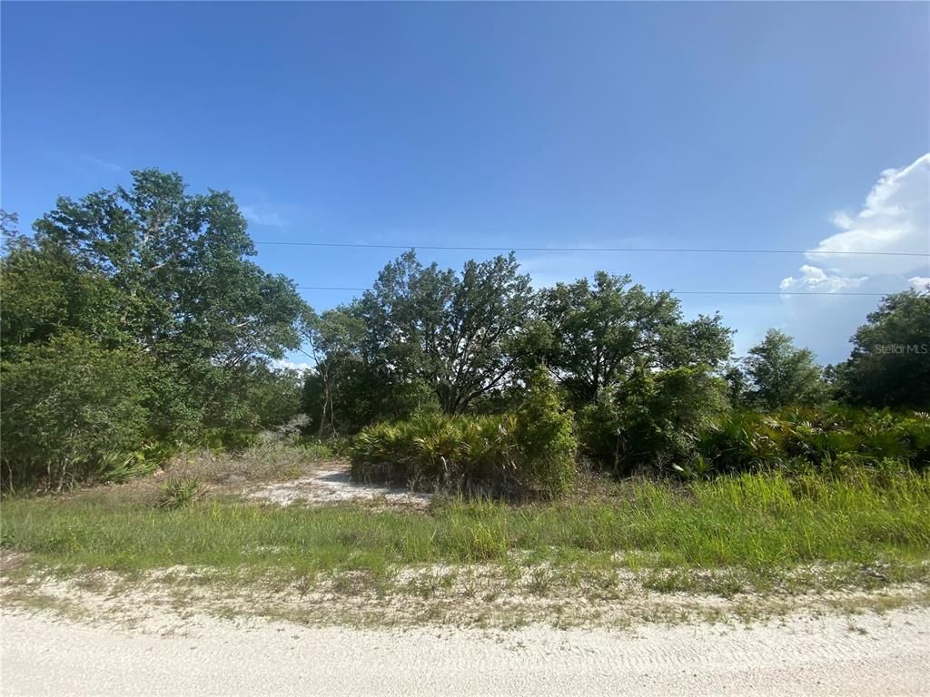 2511 W TARKENTON ROAD, Avon Park, FL 33825
