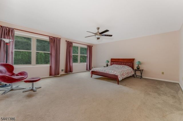 16 Woodland Ter, Bloomsbury Boro, NJ 08804