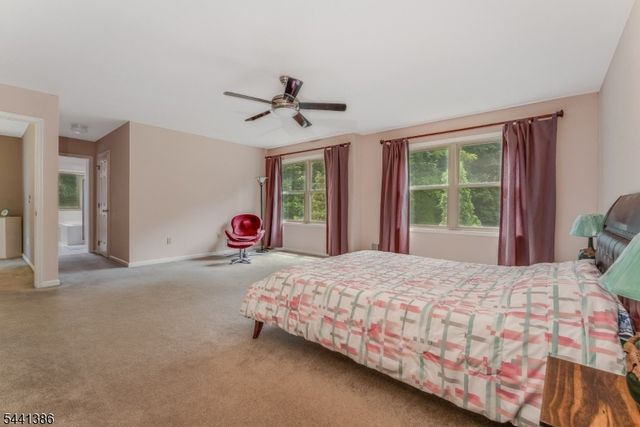 16 Woodland Ter, Bloomsbury Boro, NJ 08804