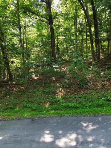 TBD WILLOW LN, Mt Jackson, VA 22842