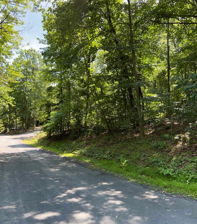 TBD WILLOW LN, Mt Jackson, VA 22842