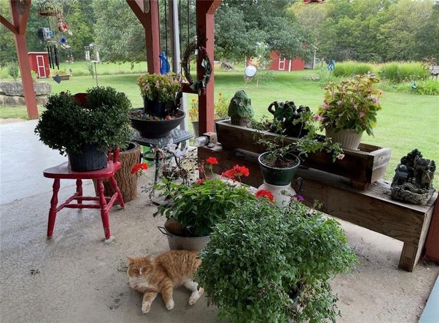 22420 Eisele Lane, Cleveland, MO 64734