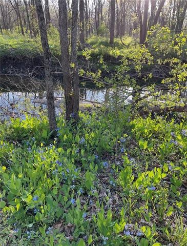 22420 Eisele Lane, Cleveland, MO 64734