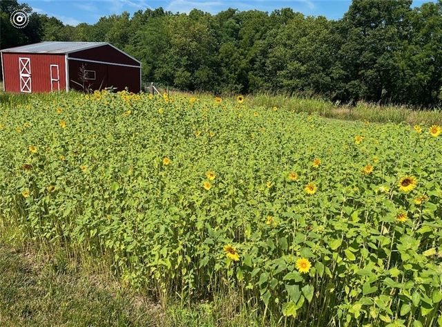 22420 Eisele Lane, Cleveland, MO 64734