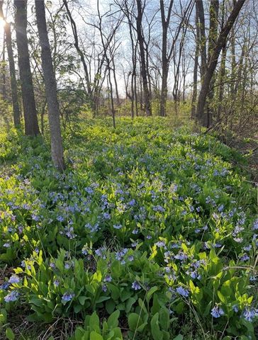 22420 Eisele Lane, Cleveland, MO 64734