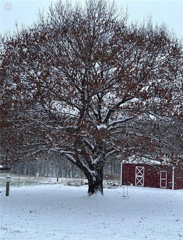 22420 Eisele Lane, Cleveland, MO 64734