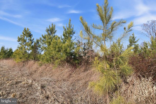 15284 POPLAR RD, Orange, VA 22960