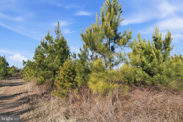 15284 POPLAR RD, Orange, VA 22960