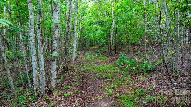 99999 Bob Barnwell Road, Fletcher, NC 28732