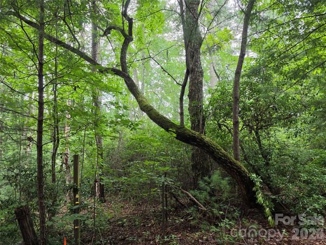 99999 Bob Barnwell Road, Fletcher, NC 28732