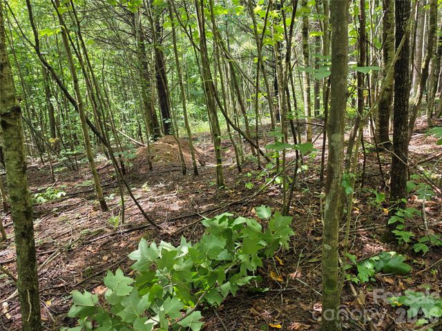 99999 Bob Barnwell Road, Fletcher, NC 28732