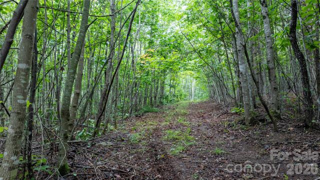 99999 Bob Barnwell Road, Fletcher, NC 28732