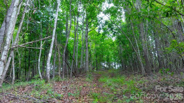 99999 Bob Barnwell Road, Fletcher, NC 28732