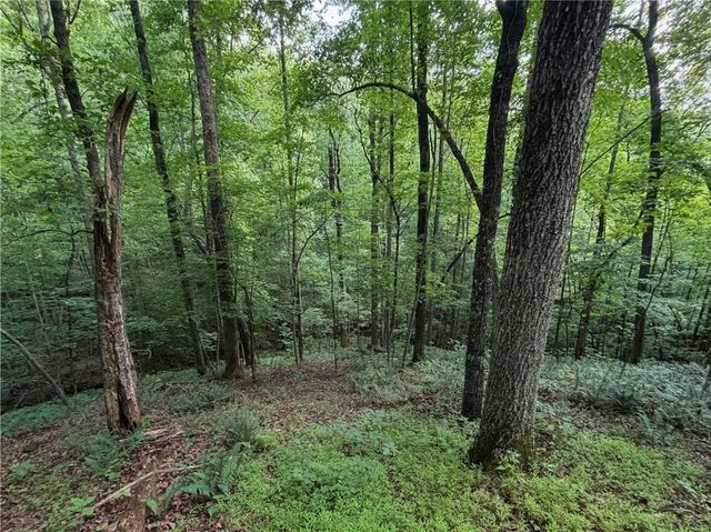 7911 Belton Bridge Road, Lula, GA 30554