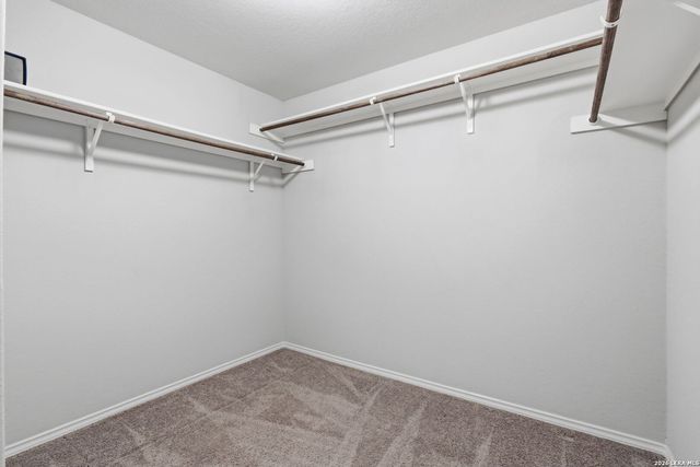 8449 Lamus Wheel, San Antonio, TX 78254