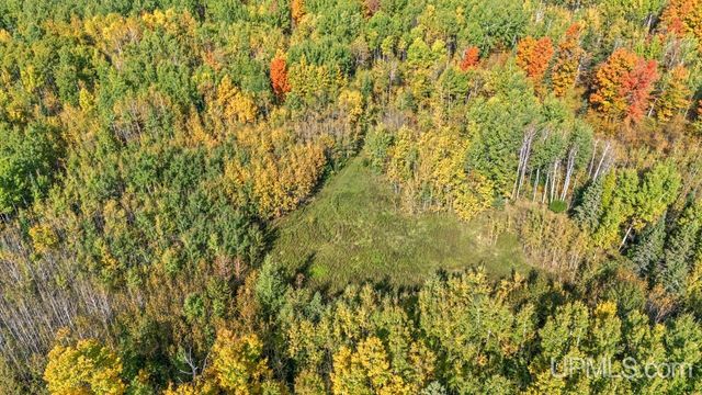 W-633 Fordville Road, Foster City, MI 49834