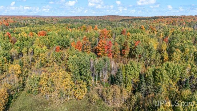 W-633 Fordville Road, Foster City, MI 49834