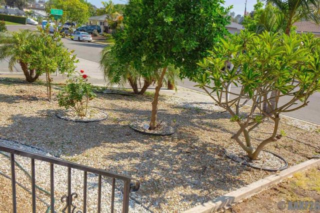 3422 Trophy, La Mesa, CA 91941