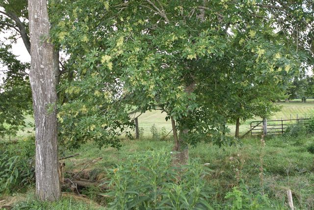 420 Cole Lane, Harrodsburg, KY 40330