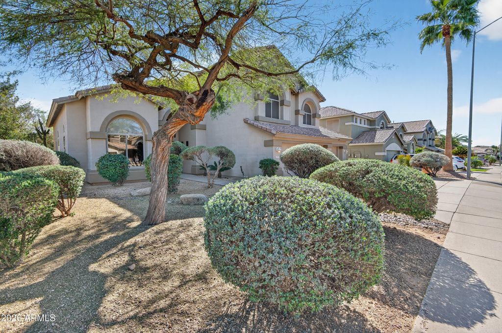 9719 E NAVARRO Avenue, Mesa, AZ 85209 — photo 4