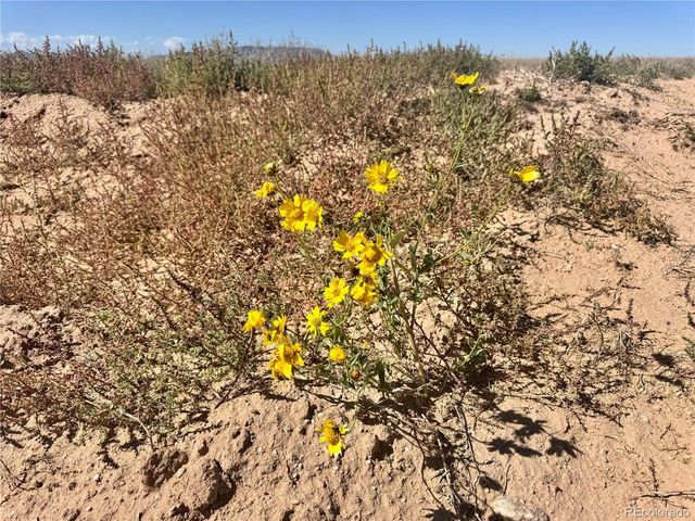 81 Jason Trl, San Luis, CO 81152