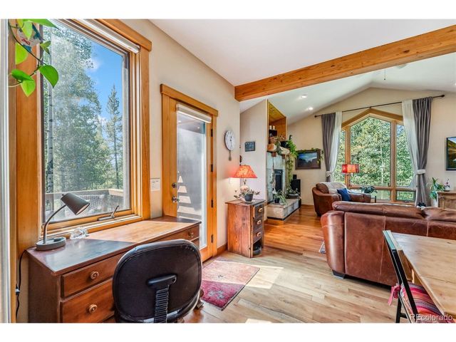 228 Glacier Ridge Rd, Alma, CO 80420