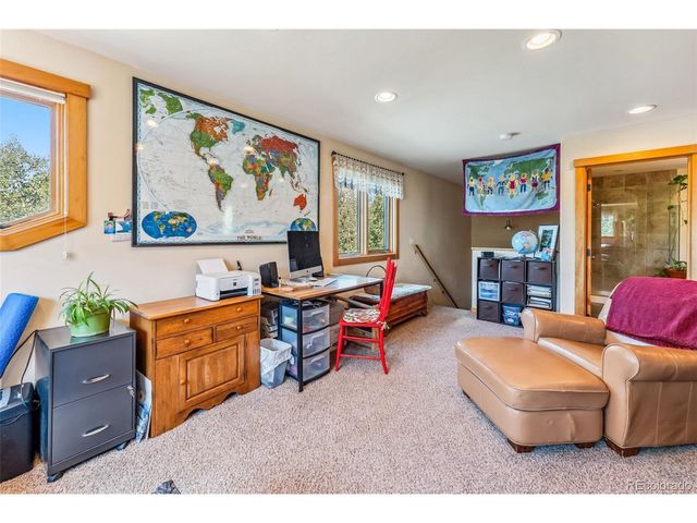 228 Glacier Ridge Rd, Alma, CO 80420