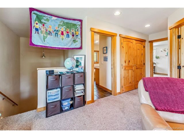 228 Glacier Ridge Rd, Alma, CO 80420