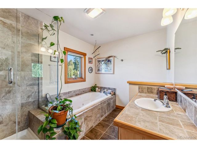 228 Glacier Ridge Rd, Alma, CO 80420