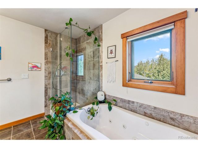 228 Glacier Ridge Rd, Alma, CO 80420