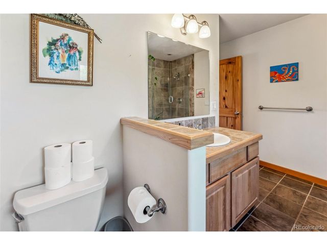 228 Glacier Ridge Rd, Alma, CO 80420