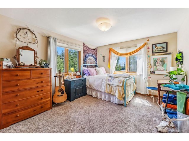 228 Glacier Ridge Rd, Alma, CO 80420