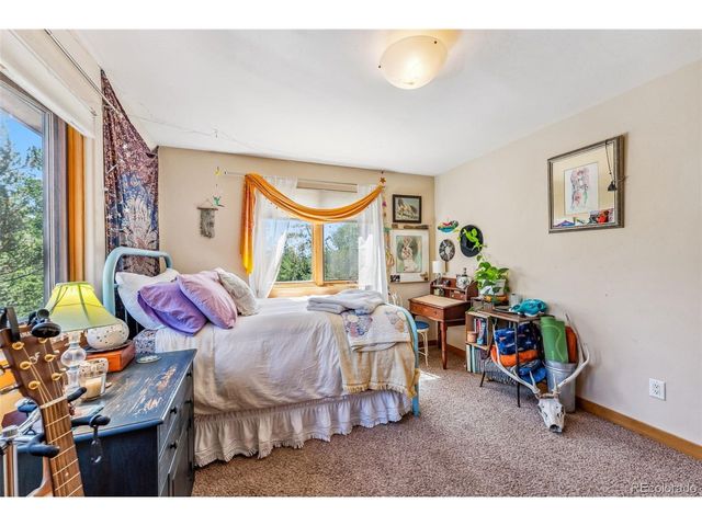 228 Glacier Ridge Rd, Alma, CO 80420