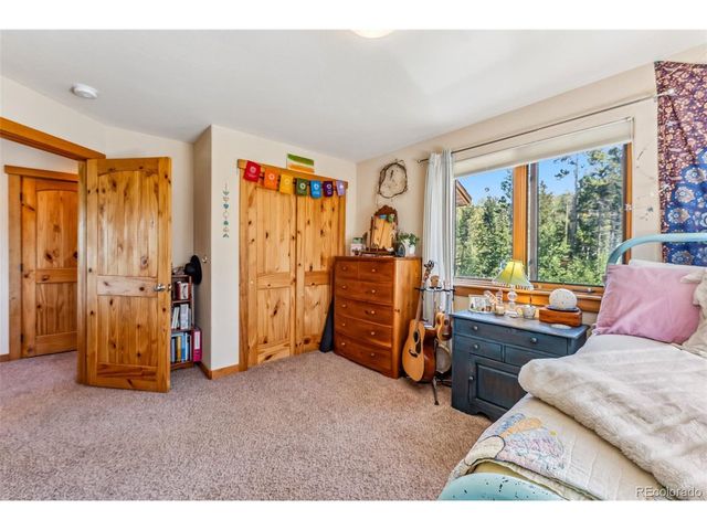 228 Glacier Ridge Rd, Alma, CO 80420