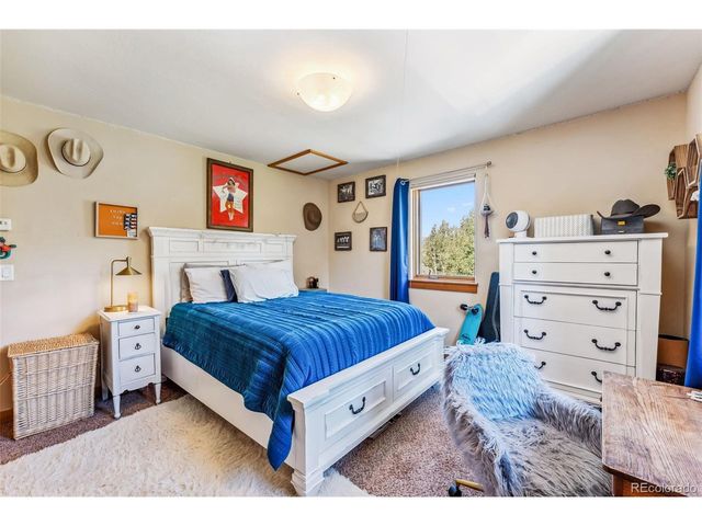 228 Glacier Ridge Rd, Alma, CO 80420