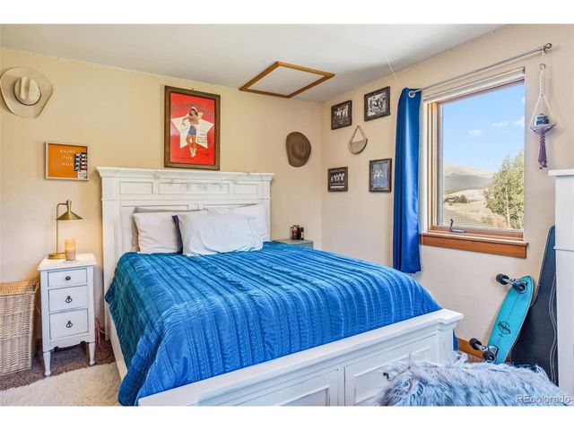 228 Glacier Ridge Rd, Alma, CO 80420