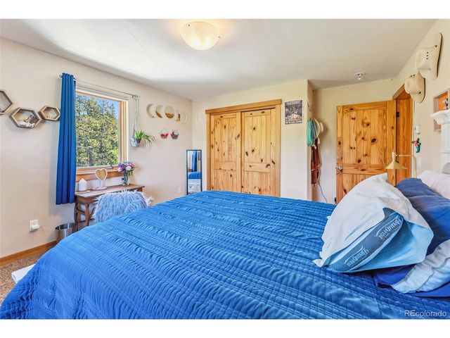 228 Glacier Ridge Rd, Alma, CO 80420