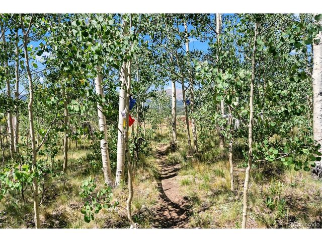 228 Glacier Ridge Rd, Alma, CO 80420