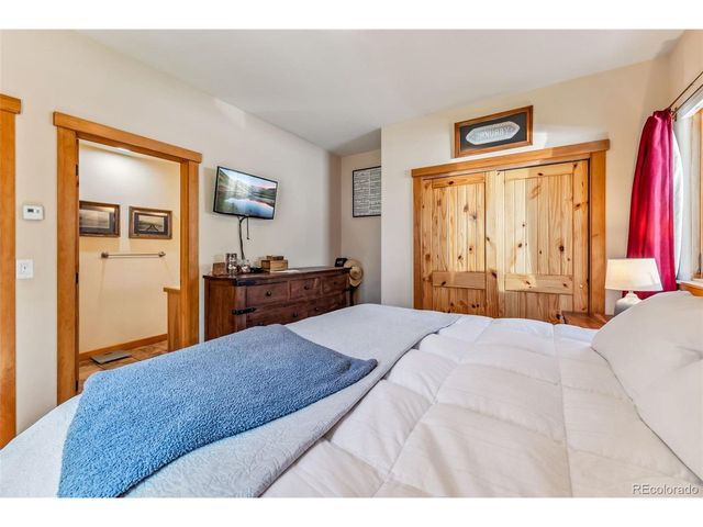 228 Glacier Ridge Rd, Alma, CO 80420