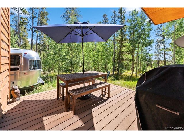 228 Glacier Ridge Rd, Alma, CO 80420