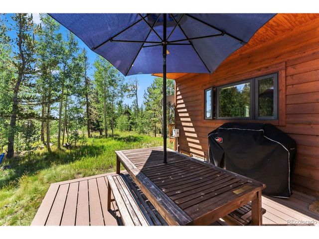 228 Glacier Ridge Rd, Alma, CO 80420
