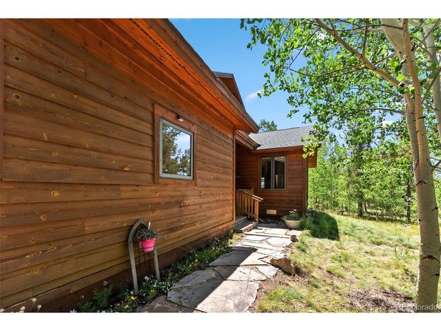 228 Glacier Ridge Rd, Alma, CO 80420
