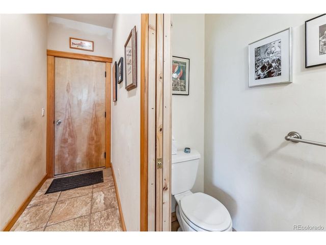 228 Glacier Ridge Rd, Alma, CO 80420